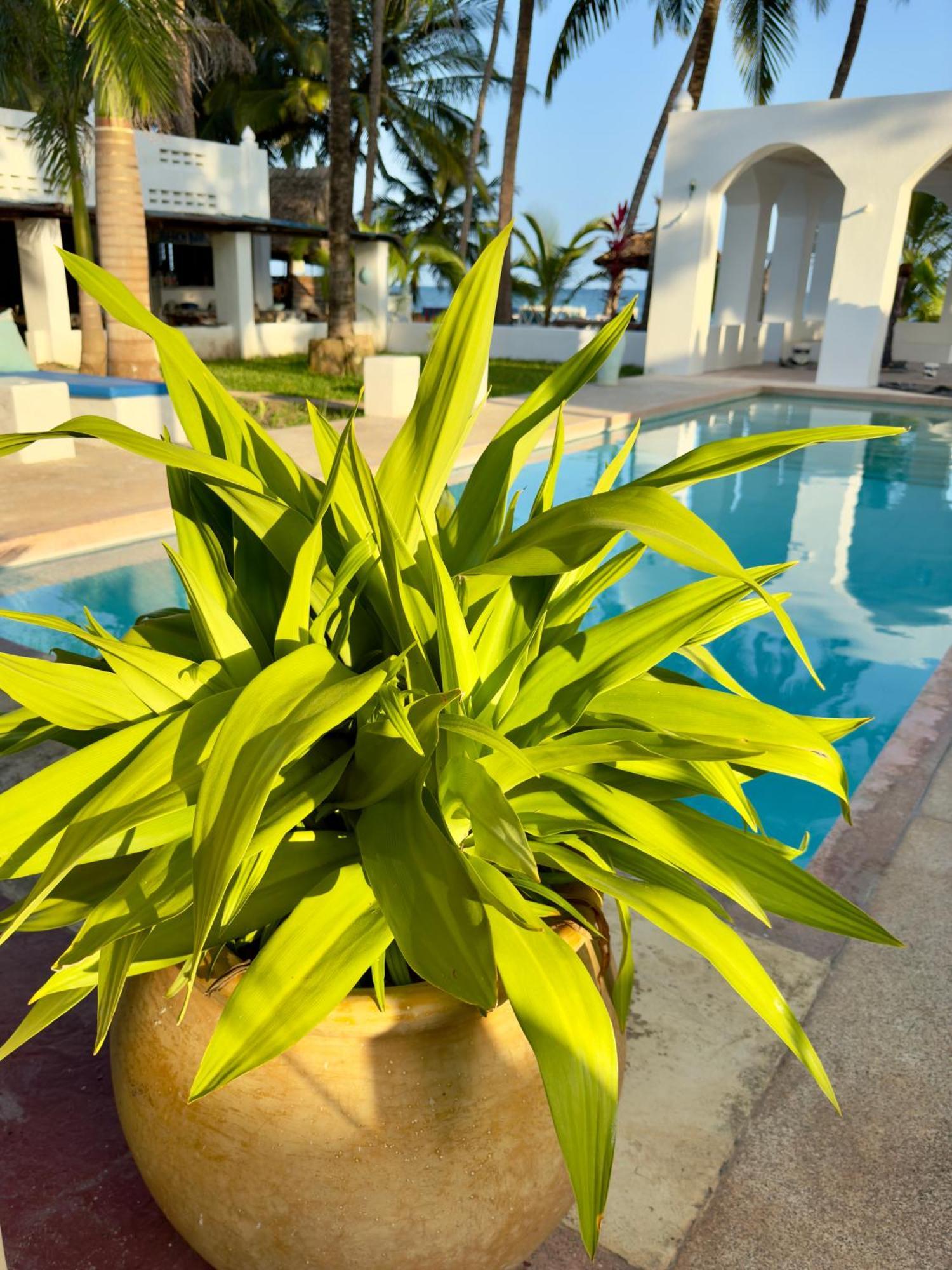 Msambweni Sawa Sawa Beach House מראה חיצוני תמונה